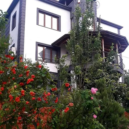 Nergis Dag Evi Chalet Trabzon
