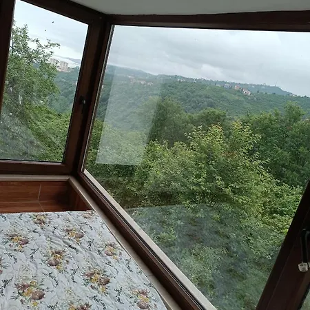 Nergis Dag Evi * Trabzon