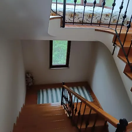 Nergis Dag Evi Trabzon